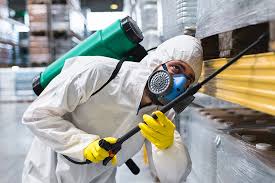 Best Fumigation Services  in Eagle Pass, TX